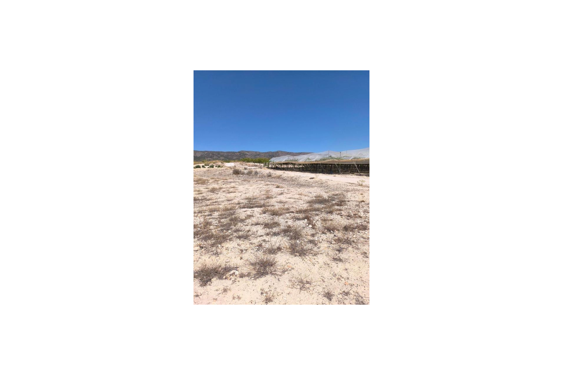 Herverkoop - land - Pinoso