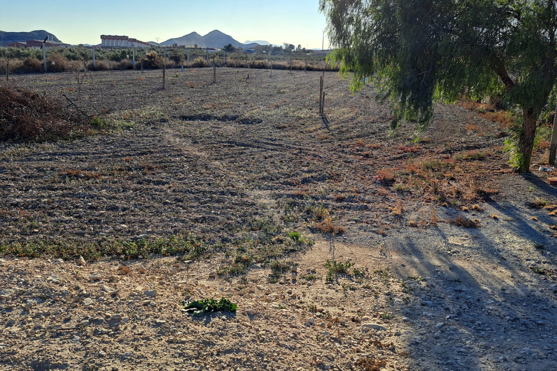 Herverkoop - Landelijke woning - Agost