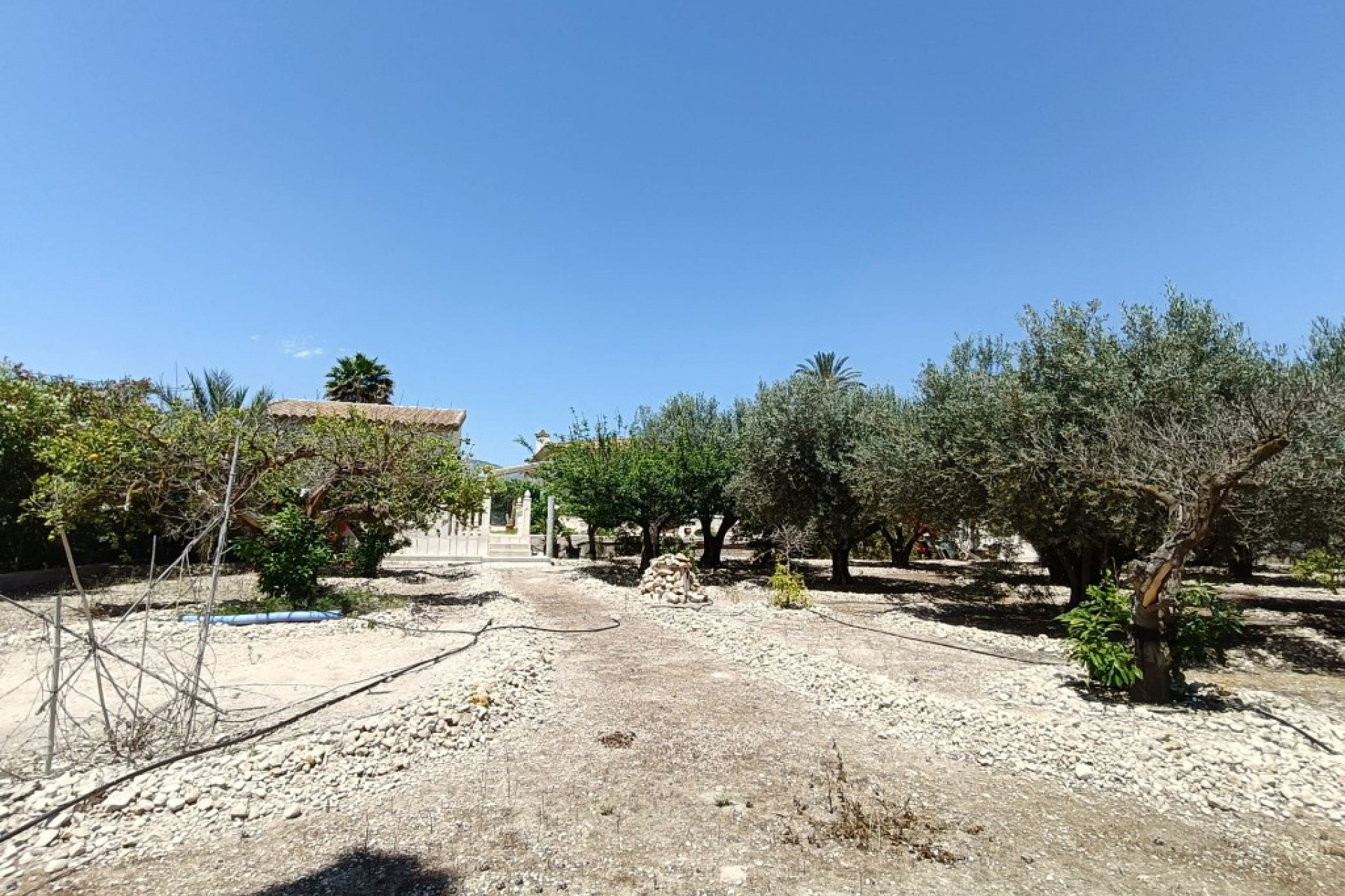 Herverkoop - Landelijke woning - ALBATERA