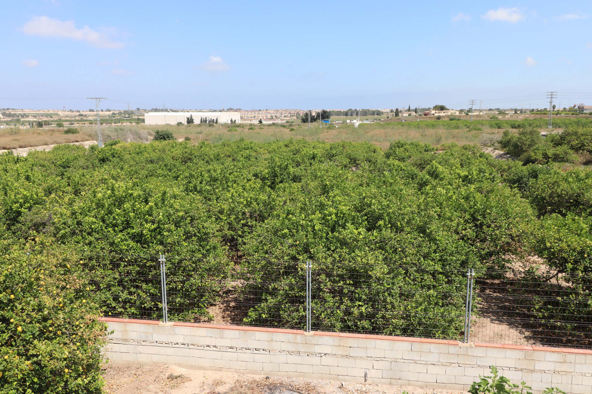 Herverkoop - Landelijke woning - Algorfa - Algorfa - Country