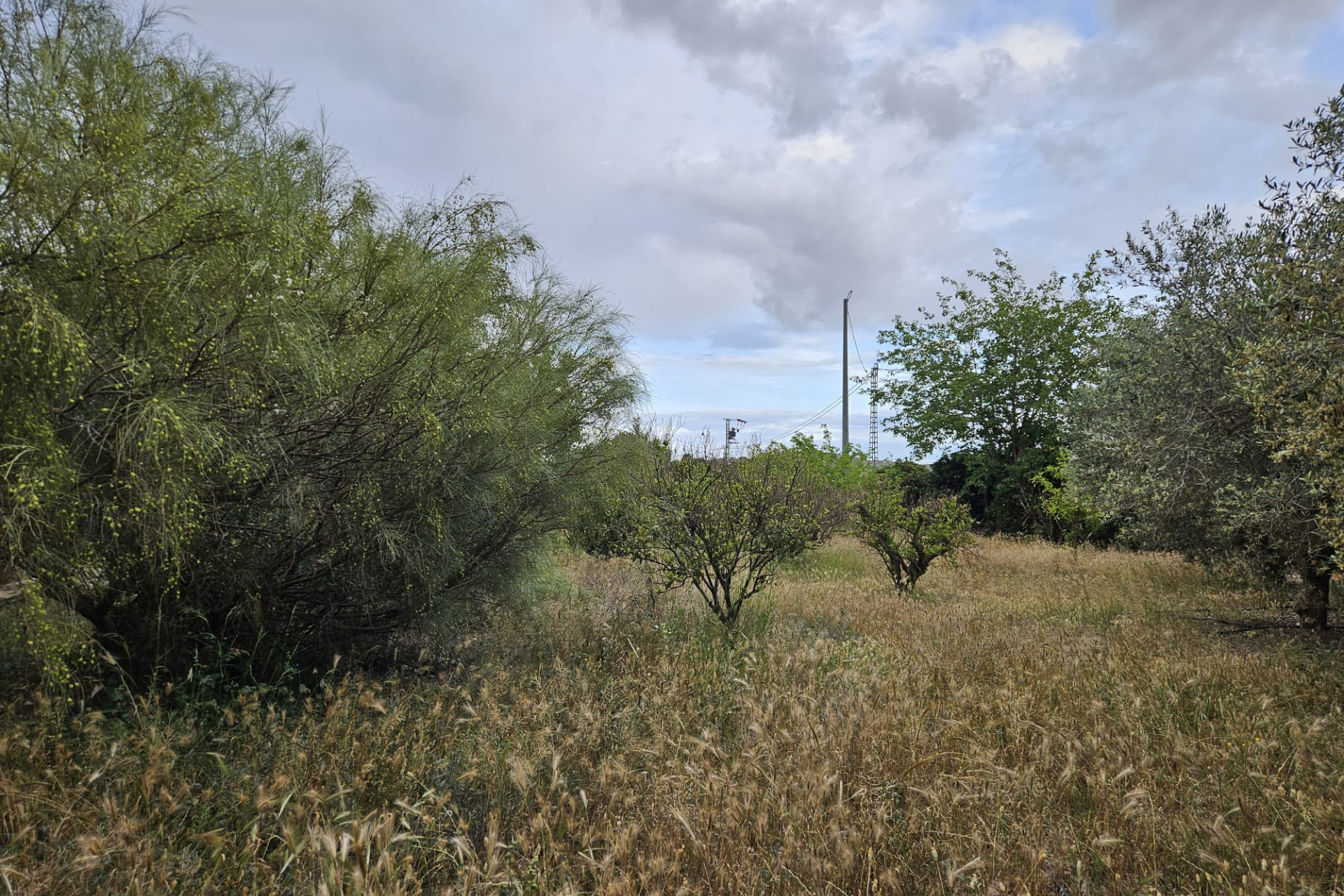 Herverkoop - Landelijke woning - Aspe