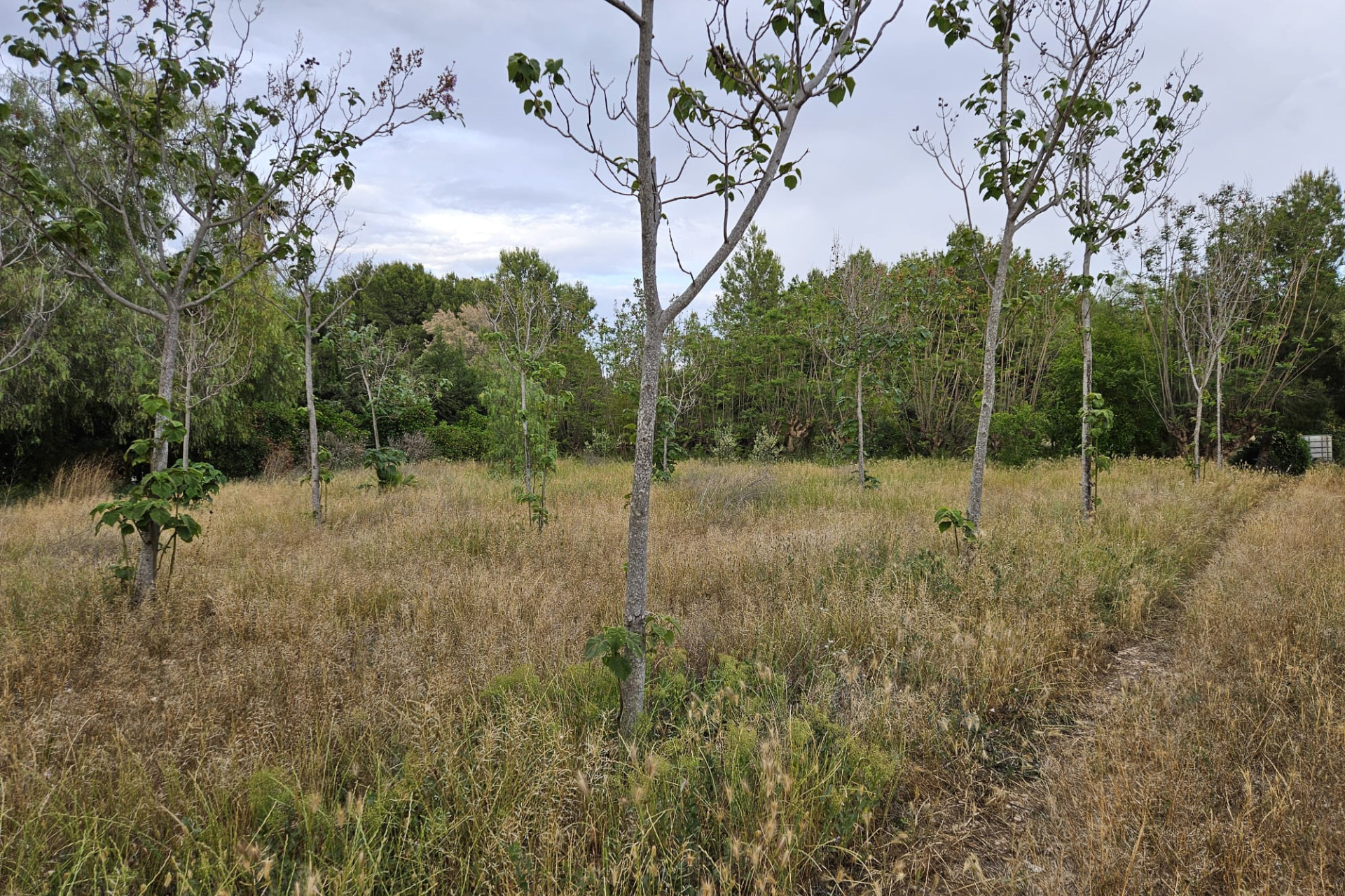 Herverkoop - Landelijke woning - Aspe