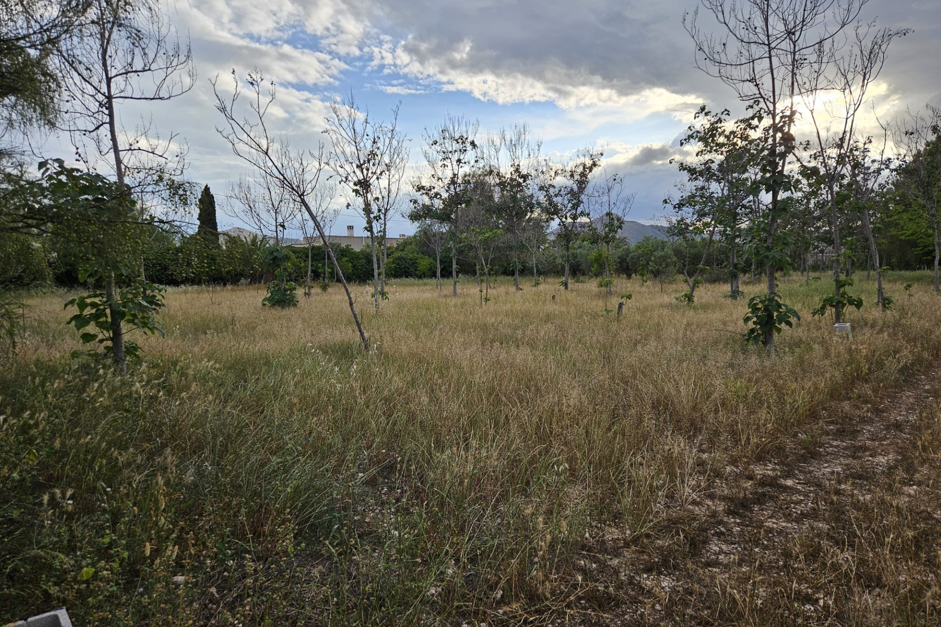 Herverkoop - Landelijke woning - Aspe