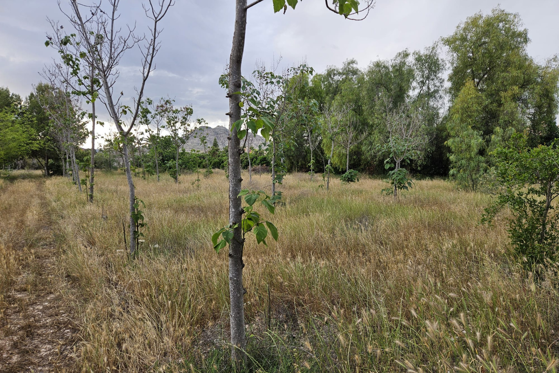 Herverkoop - Landelijke woning - Aspe
