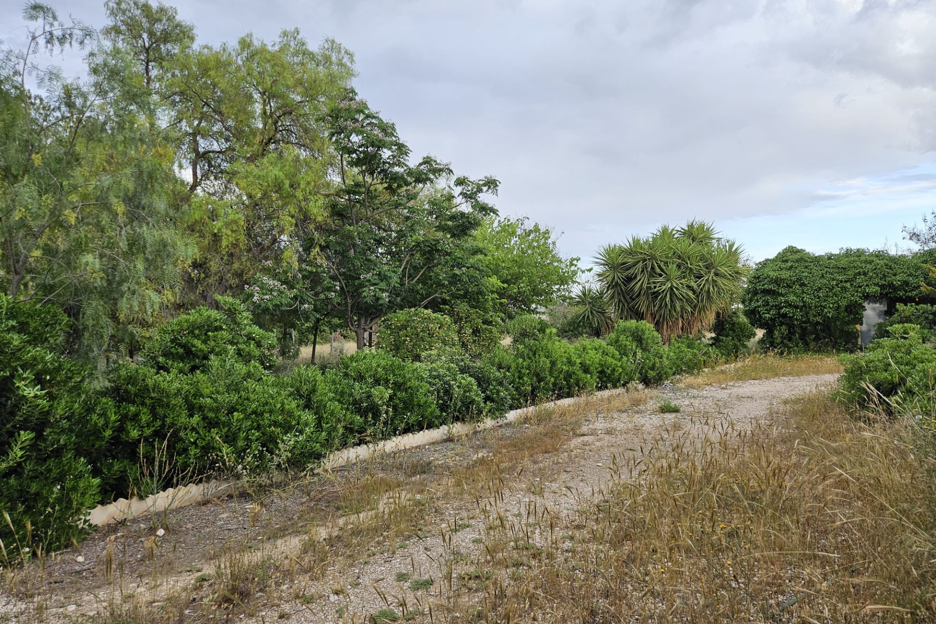 Herverkoop - Landelijke woning - Aspe