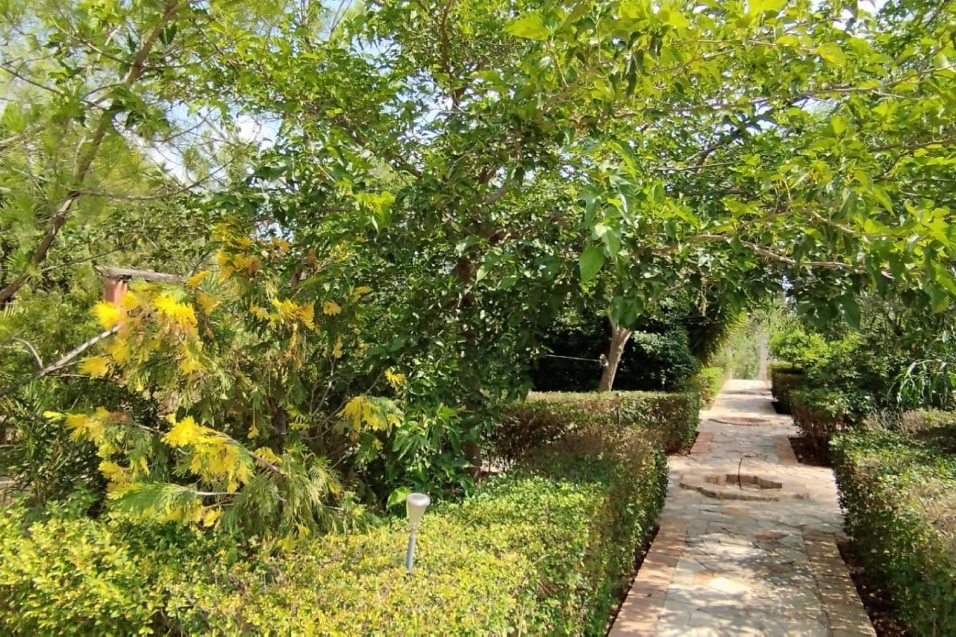 Herverkoop - Landelijke woning - Crevillente