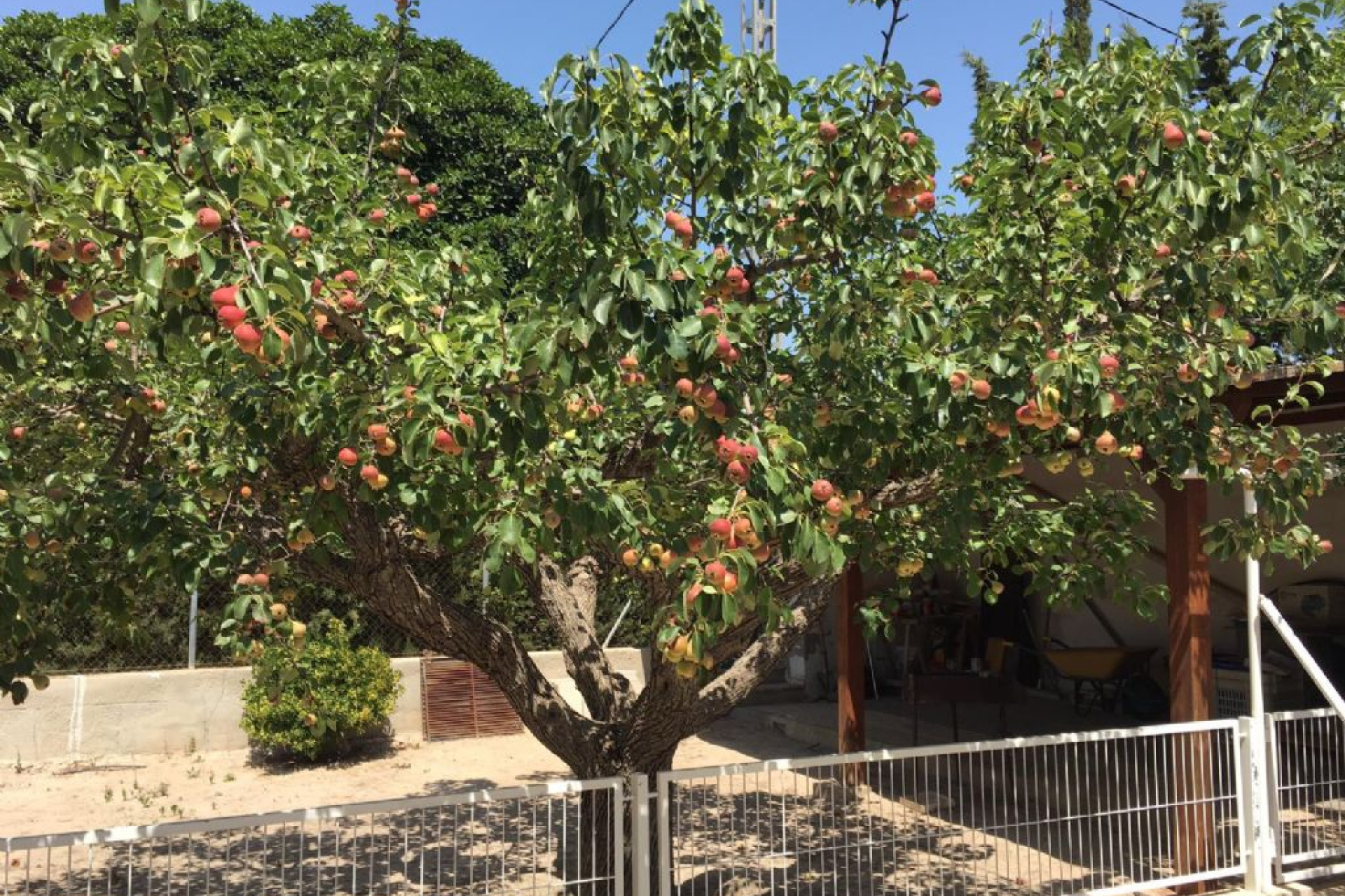 Herverkoop - Landelijke woning - Elche