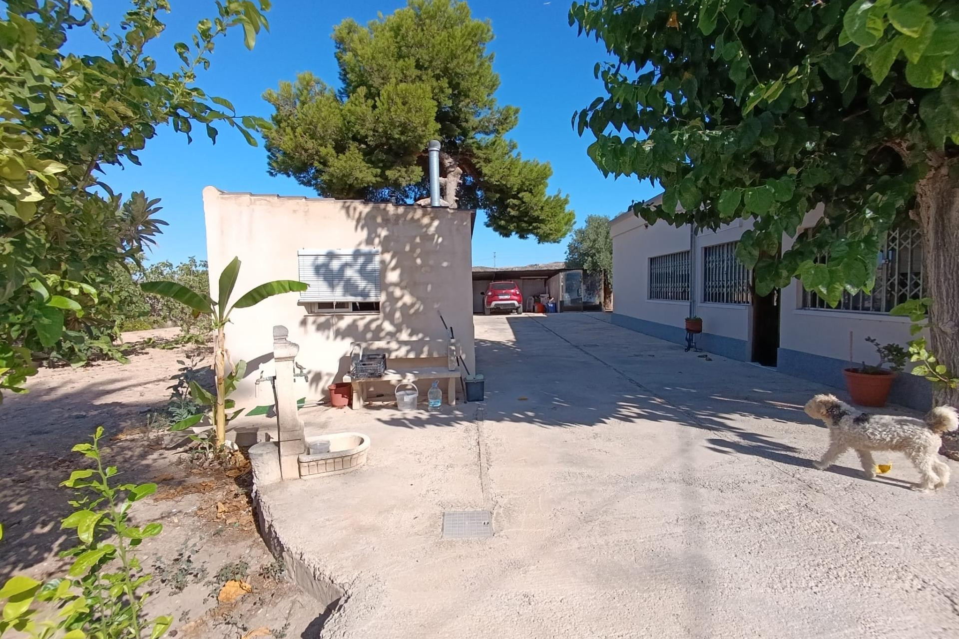 Herverkoop - Landelijke woning - Elche