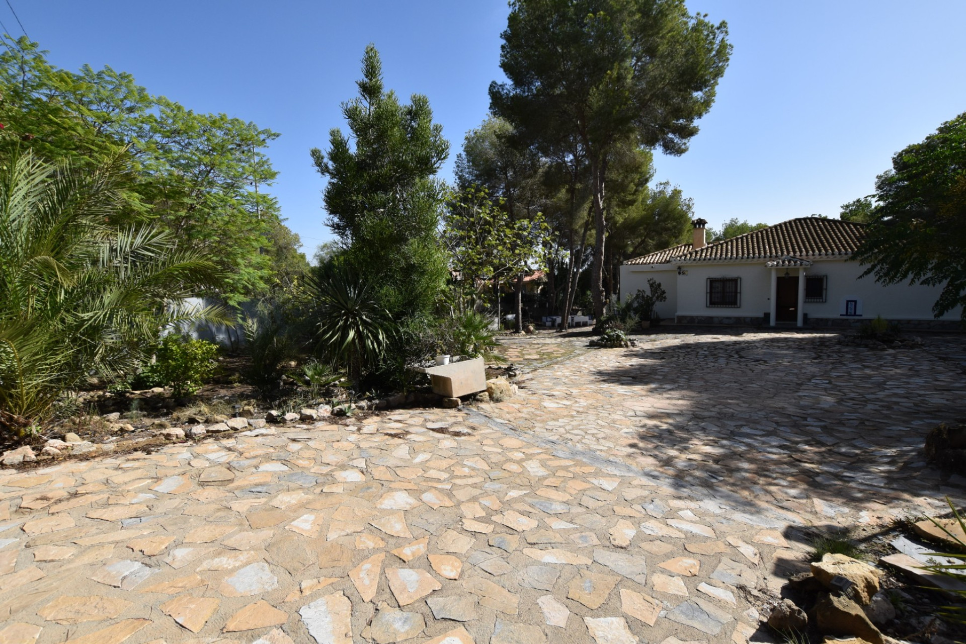 Herverkoop - Landelijke Woning-Finca - Algorfa - Montemar