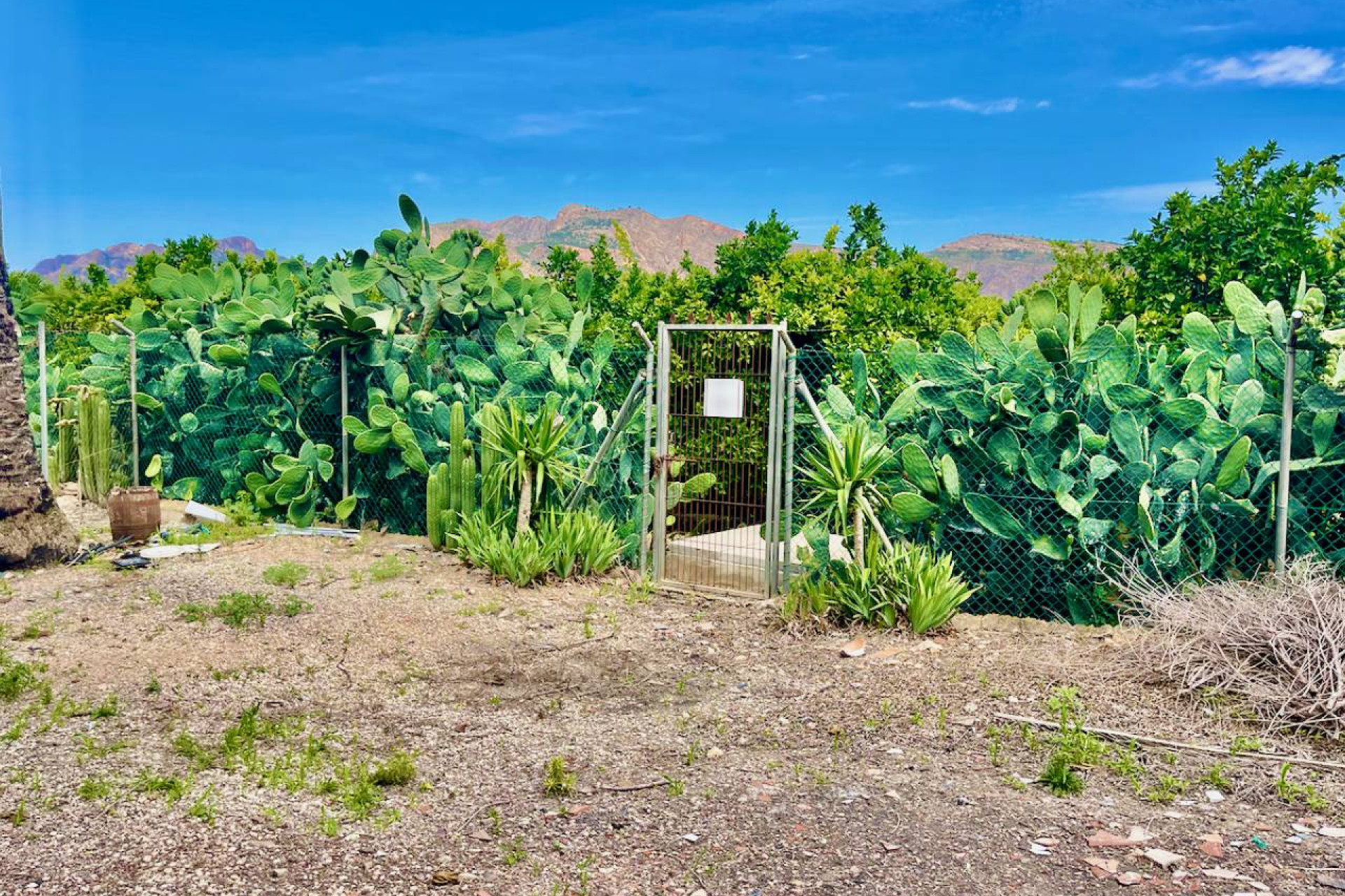Herverkoop - Landelijke Woning-Finca - Orihuela Costa - Orihuela