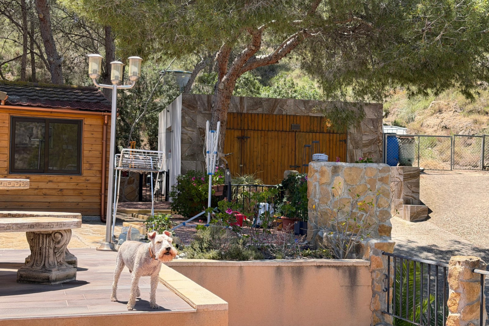 Herverkoop - Landelijke Woning-Finca - Orihuela Costa - Torremendo