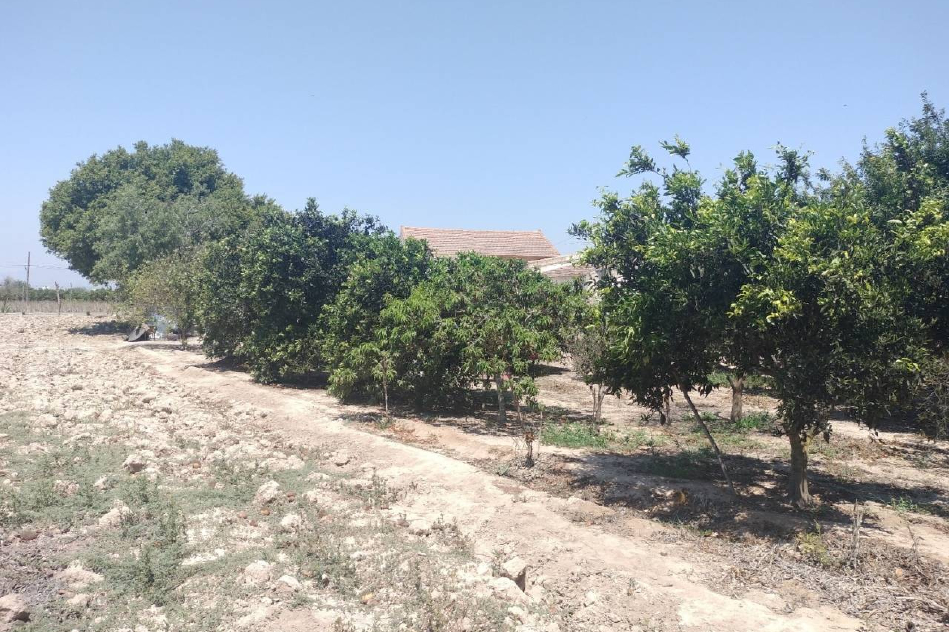 Herverkoop - Landelijke Woning-Finca - Rojales - Cuidad Quesada