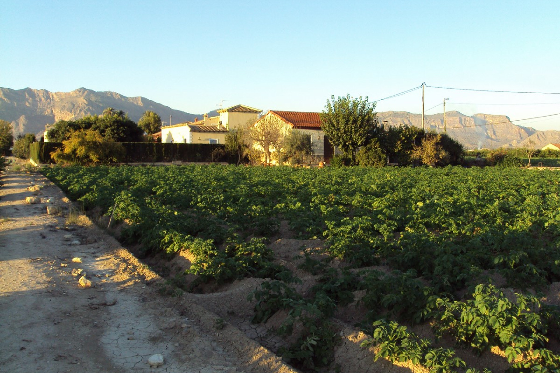 Herverkoop - Landelijke woning - Orihuela Costa - Orihuela