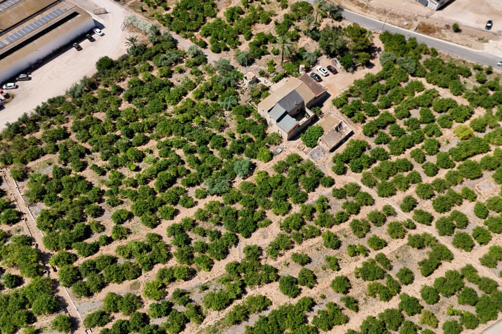 Herverkoop - Landelijke woning - Orihuela - Raiguero de Bonanza