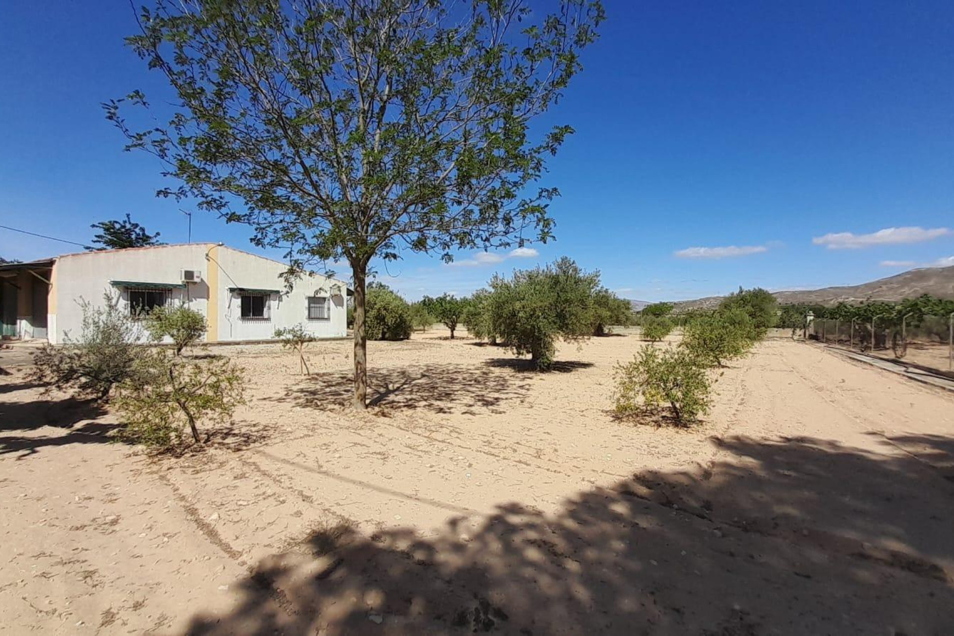 Herverkoop - Landelijke woning - Villena