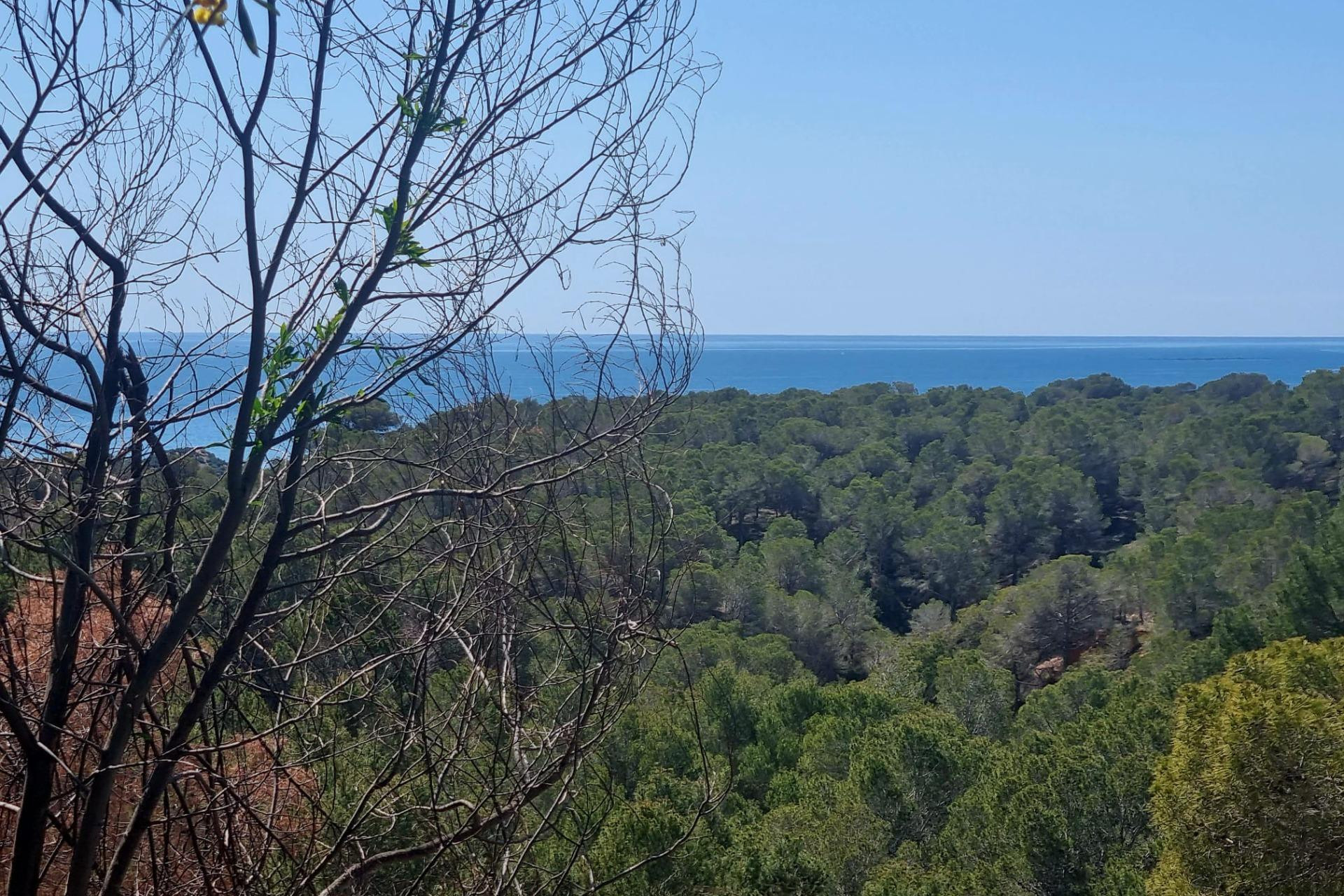 Herverkoop - Terrein - Altea - Galera de las palmeras