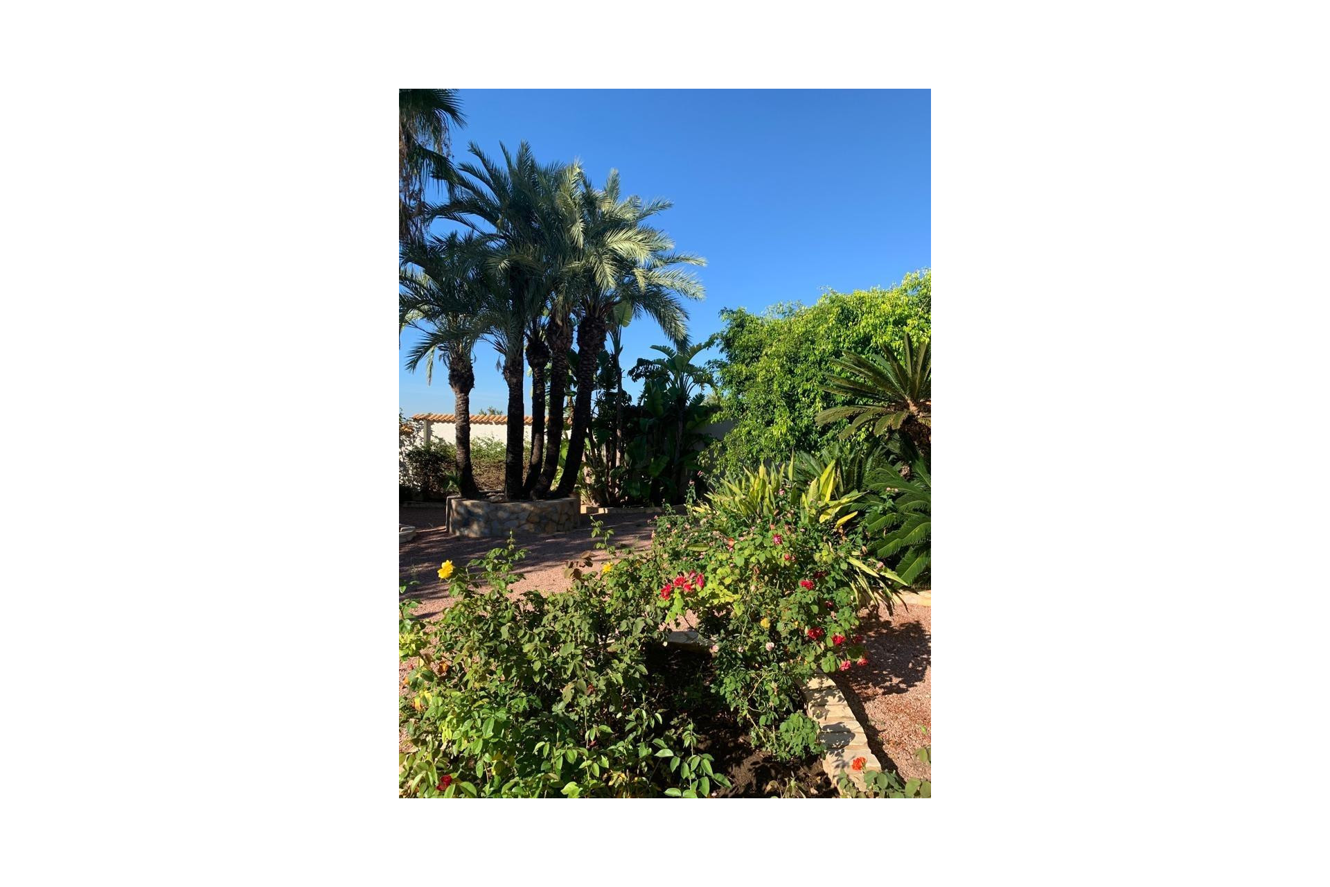 Herverkoop - Villa - Ciudad Quesada - Rojales