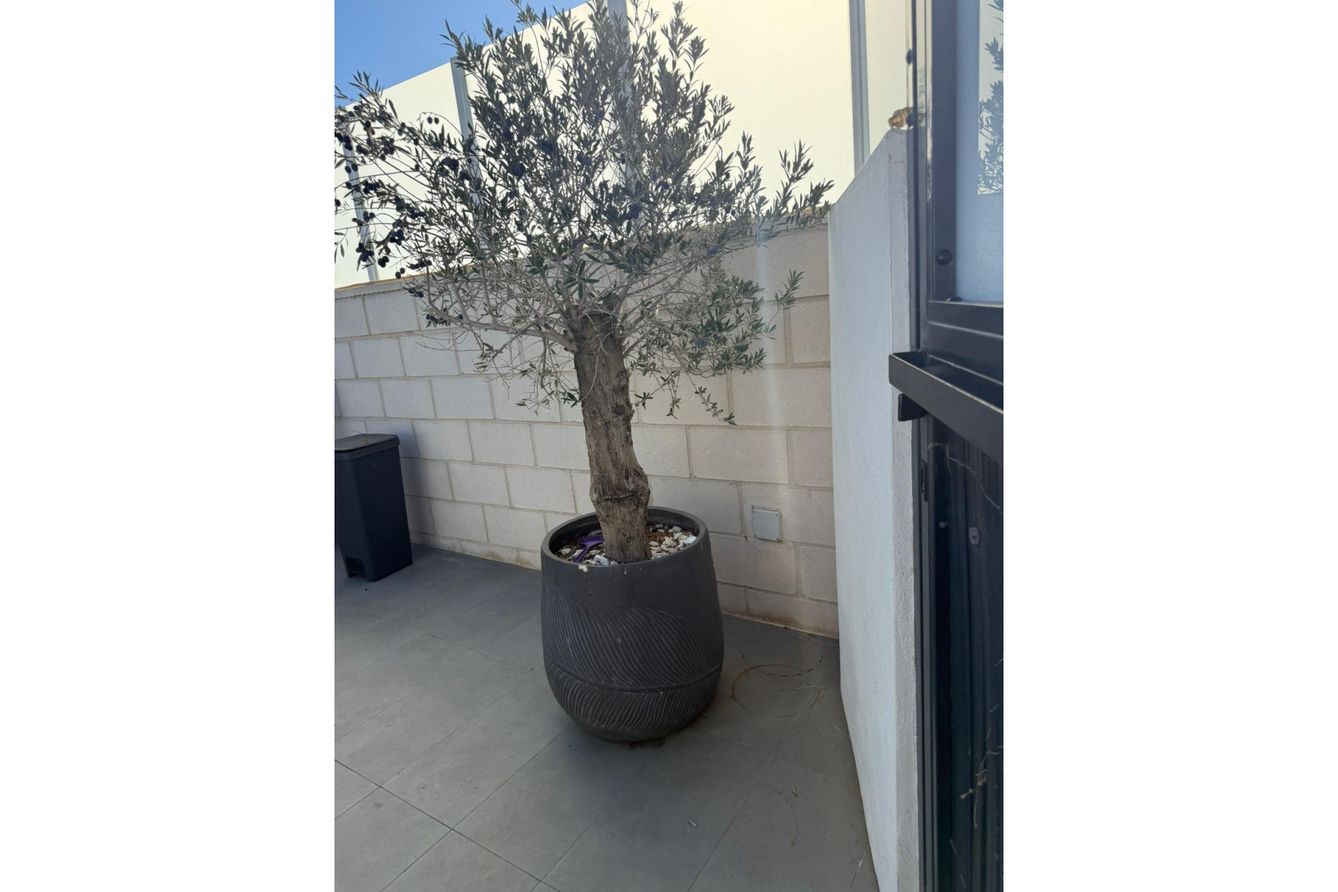 Herverkoop - Villa - Orihuela Costa - PAU 26