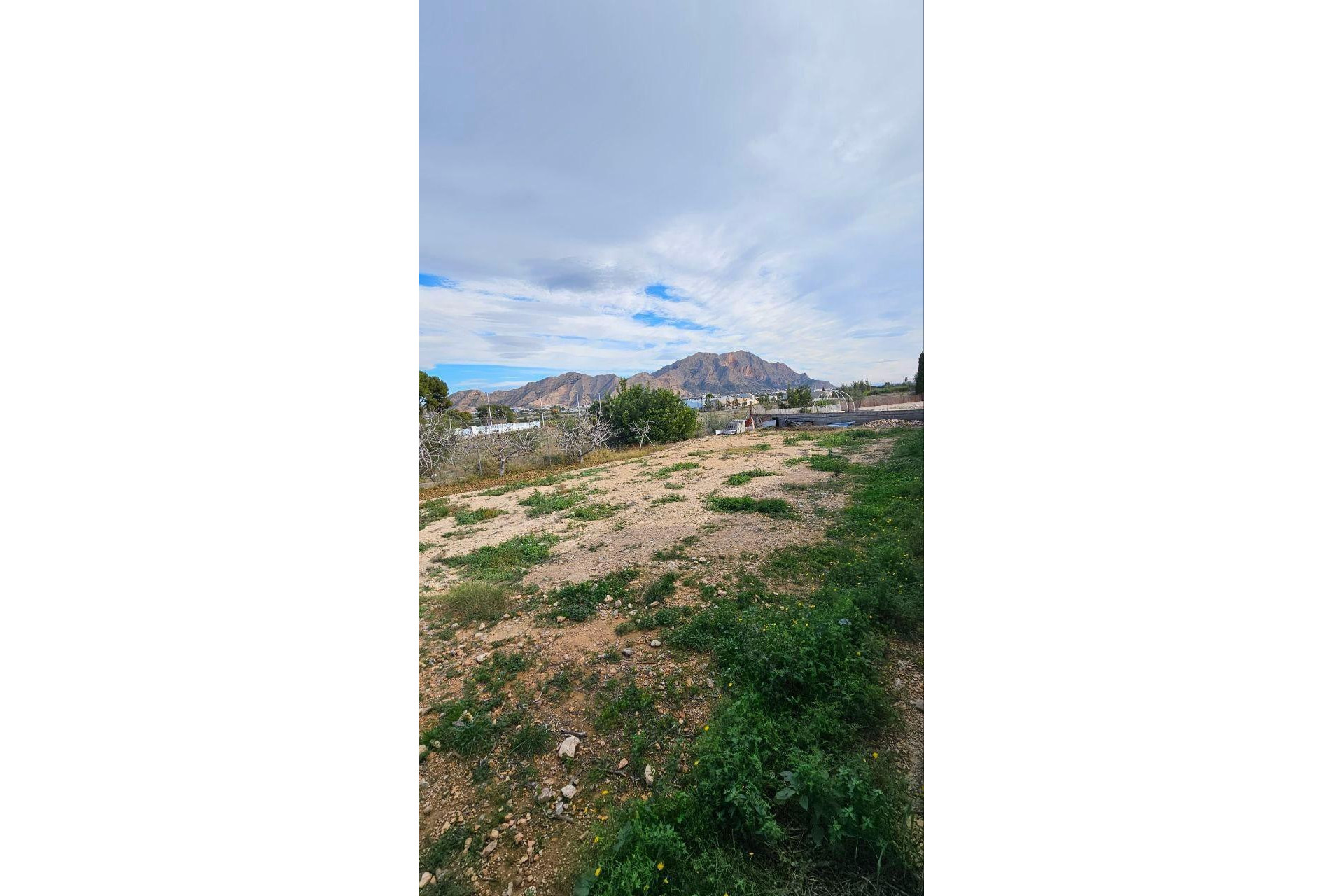 Herverkoop - Villa - Orihuela Costa - Urb. Montepinar