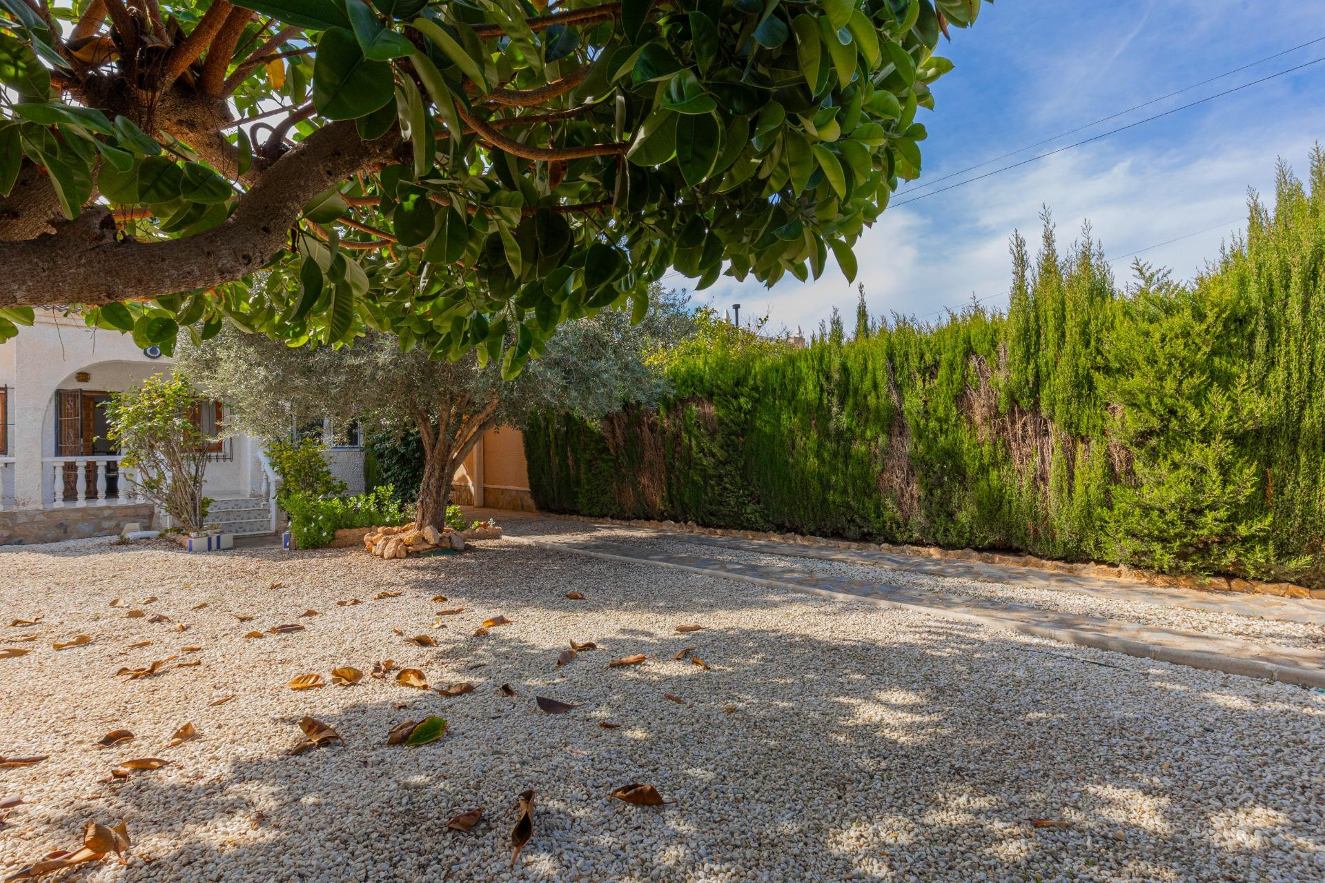 Herverkoop - Villa - Torrevieja - La siesta