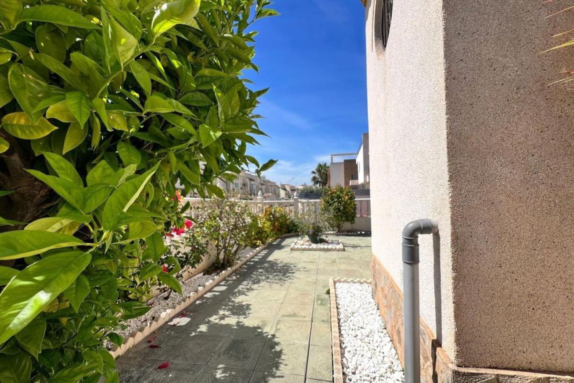 Herverkoop - Villa - Torrevieja - torrevieja