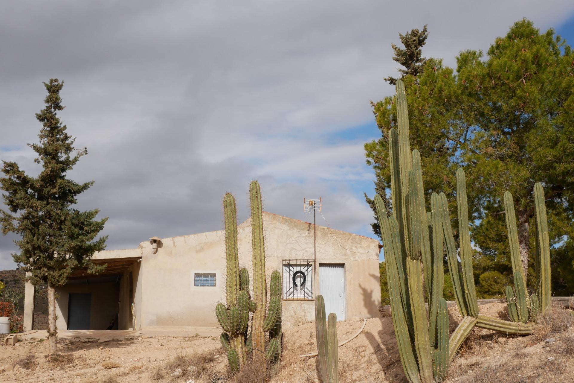 Herverkoop - Woning - Abanilla - EL SALADO