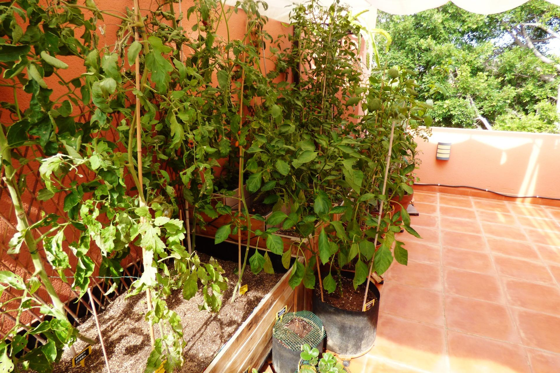 Herverkoop - Woning - Alicante - Alicante Golf