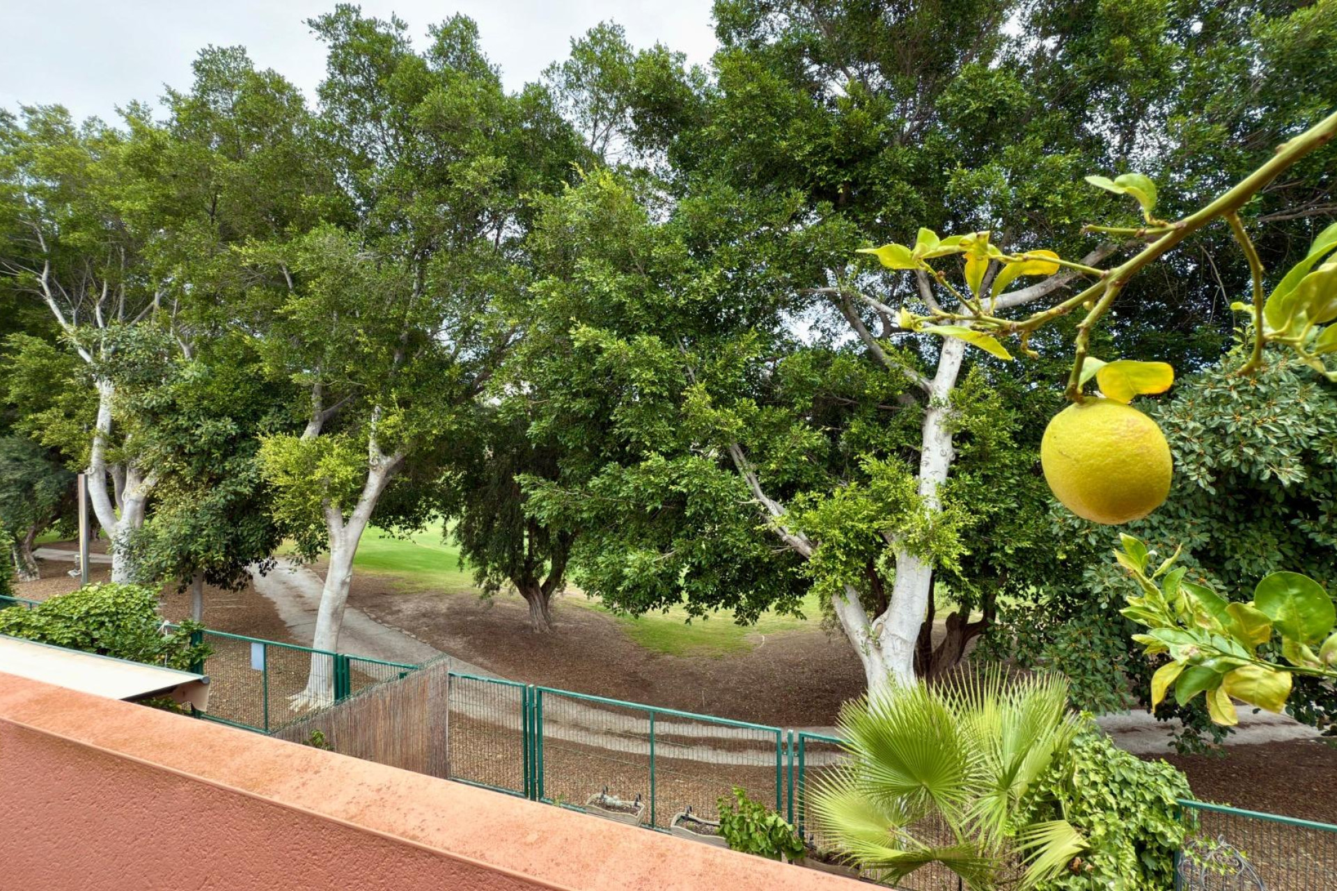 Herverkoop - Woning - Alicante - Alicante Golf