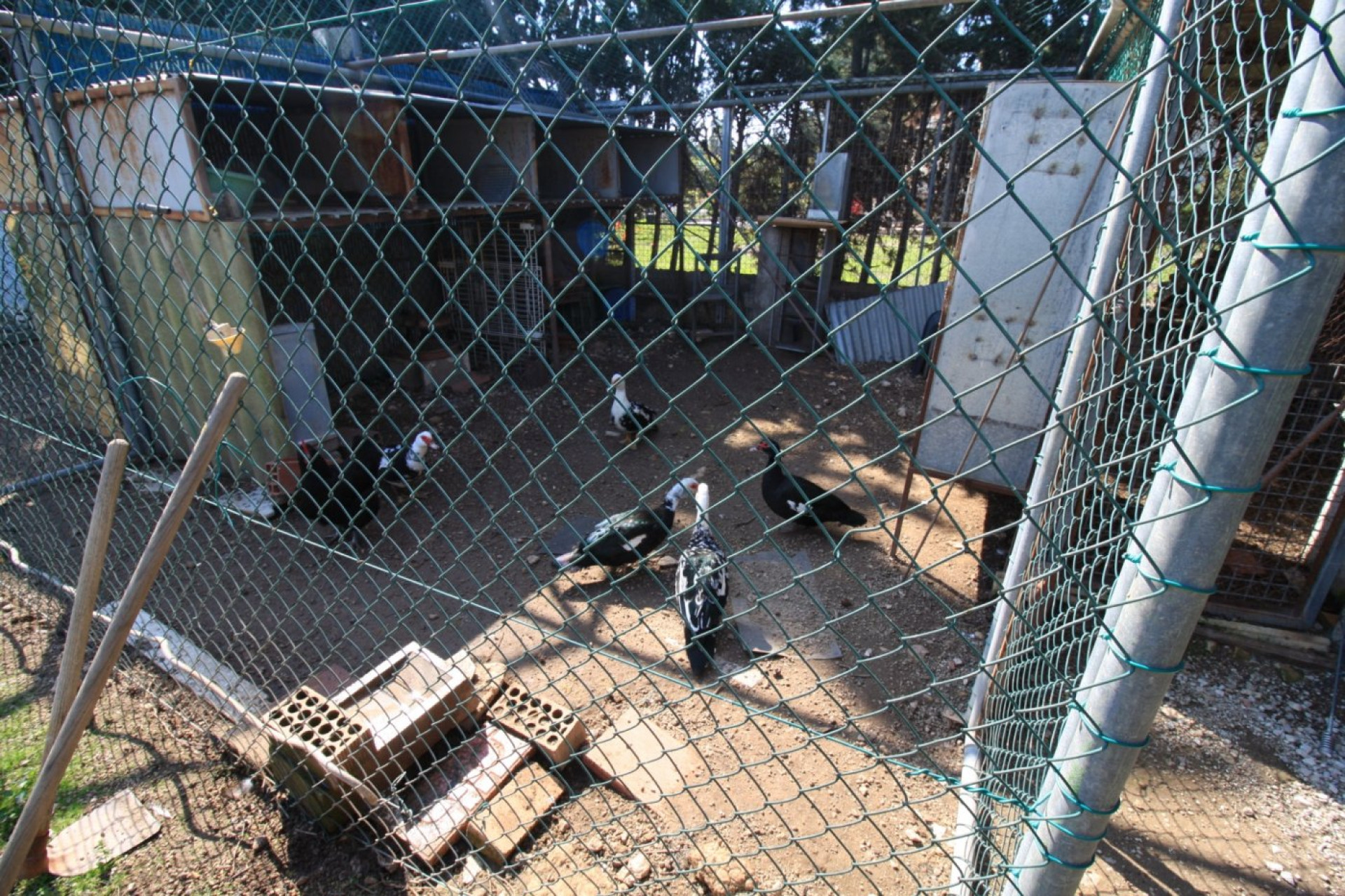 Herverkoop - Woning - Orihuela Costa - Campoamor