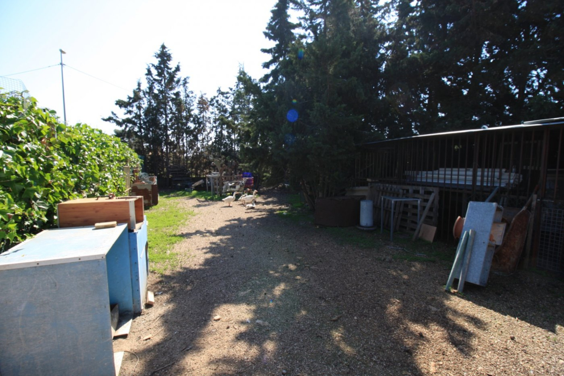 Herverkoop - Woning - Orihuela Costa - Campoamor