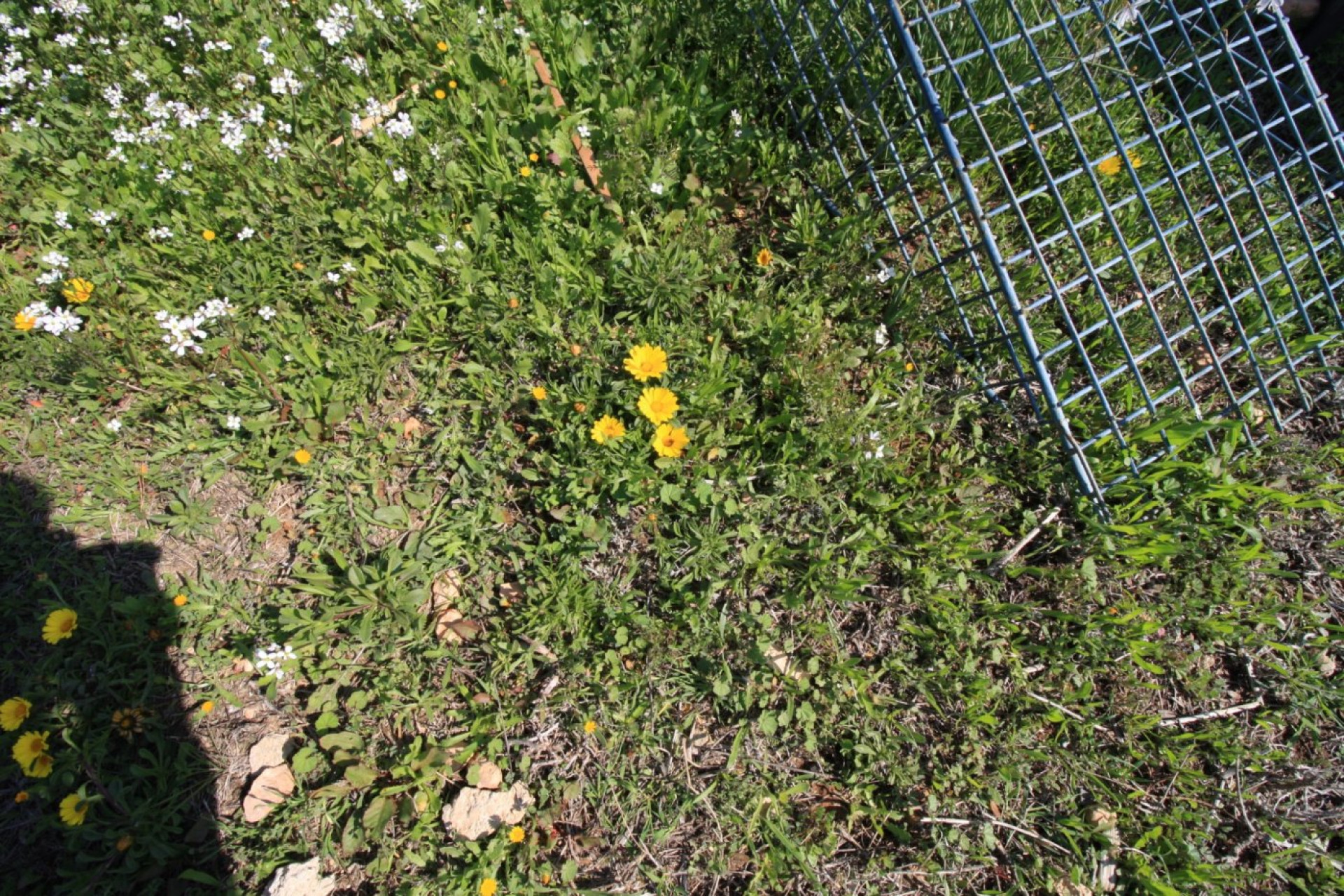 Herverkoop - Woning - Orihuela Costa - Campoamor