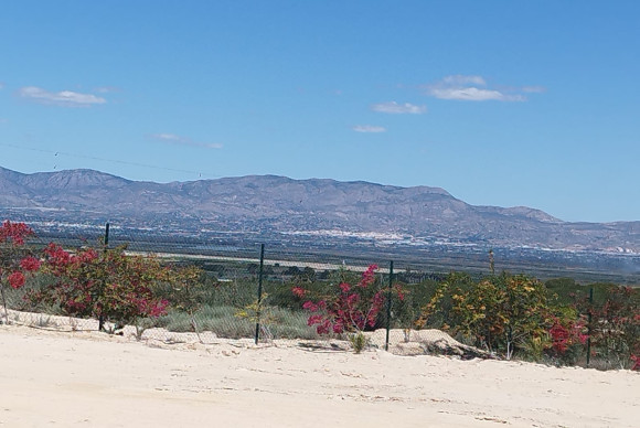 Land and Plots - Reventa - San Fulgencio - La Marina