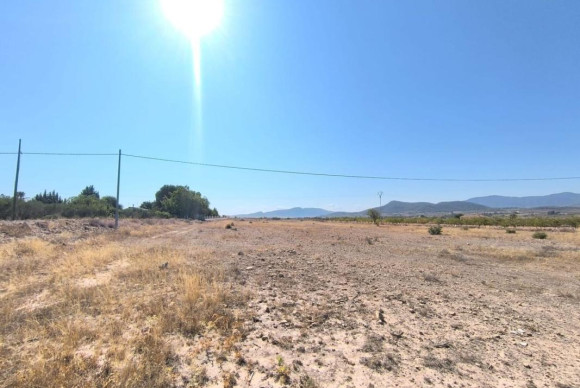 land - Resale - Pinoso - Pinoso