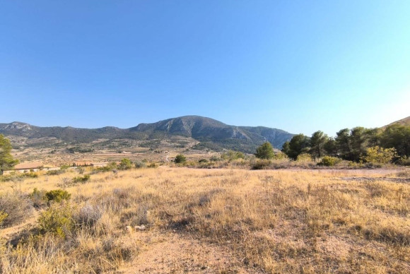 land - Reventa - Algueña - Algueña