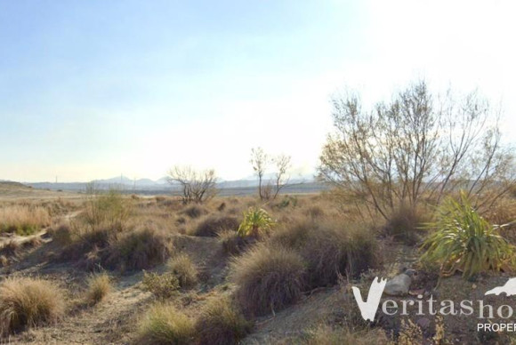 land - Reventa - Los Gallardos - Los Gallardos