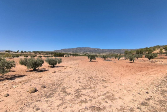 land - Revente - Monovar - Monovar