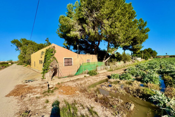 Landelijke Woning-Finca - Herverkoop - Guardamar del Segura - Guardamar del Segura