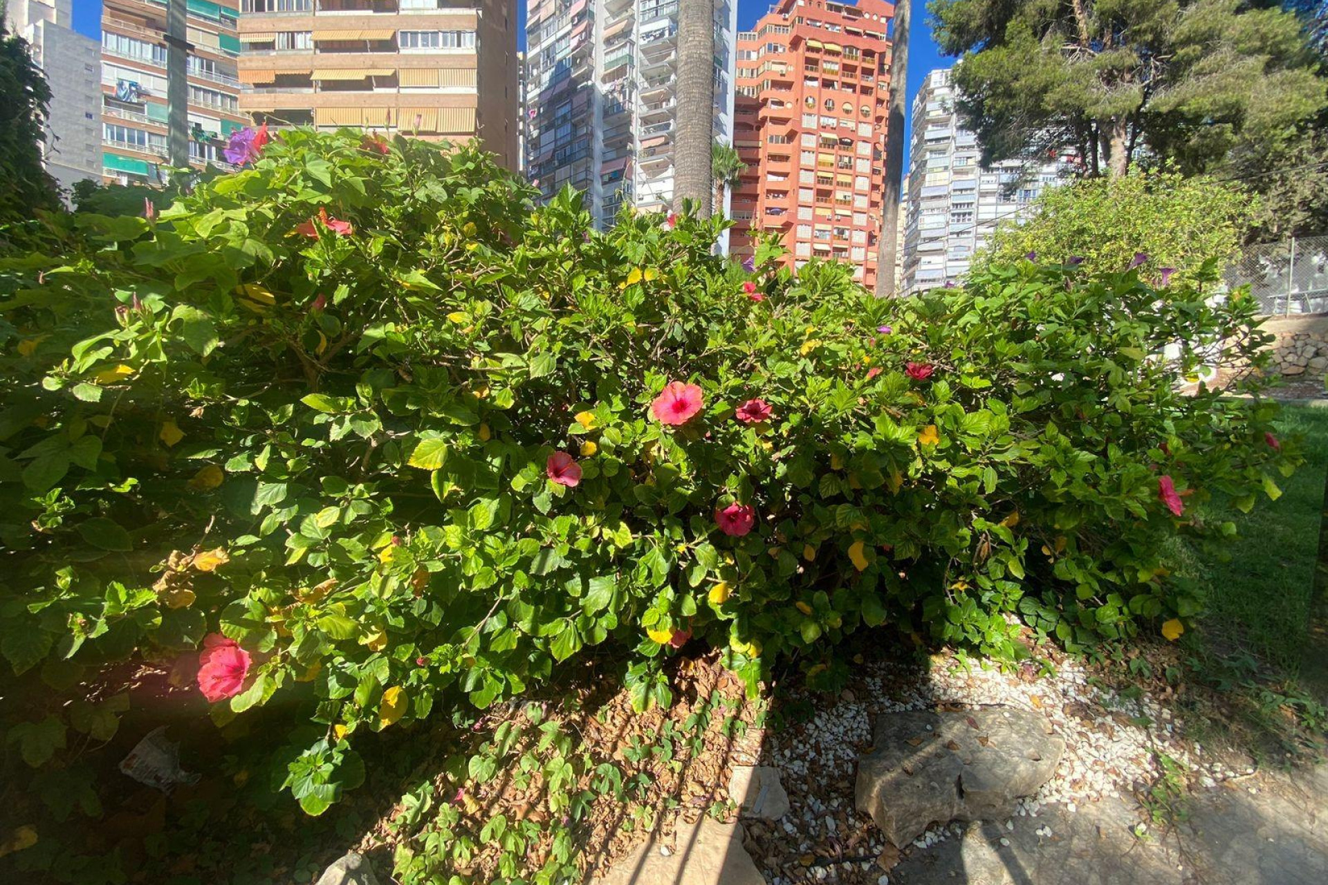 Lange Termijn Verhuur - Appartement  - Benidorm - Rincon de Loix Cruz