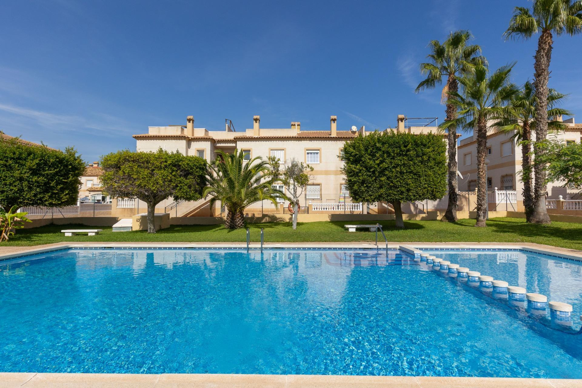 Lange Termijn Verhuur - Appartement - Torrevieja - Zona los Frutales