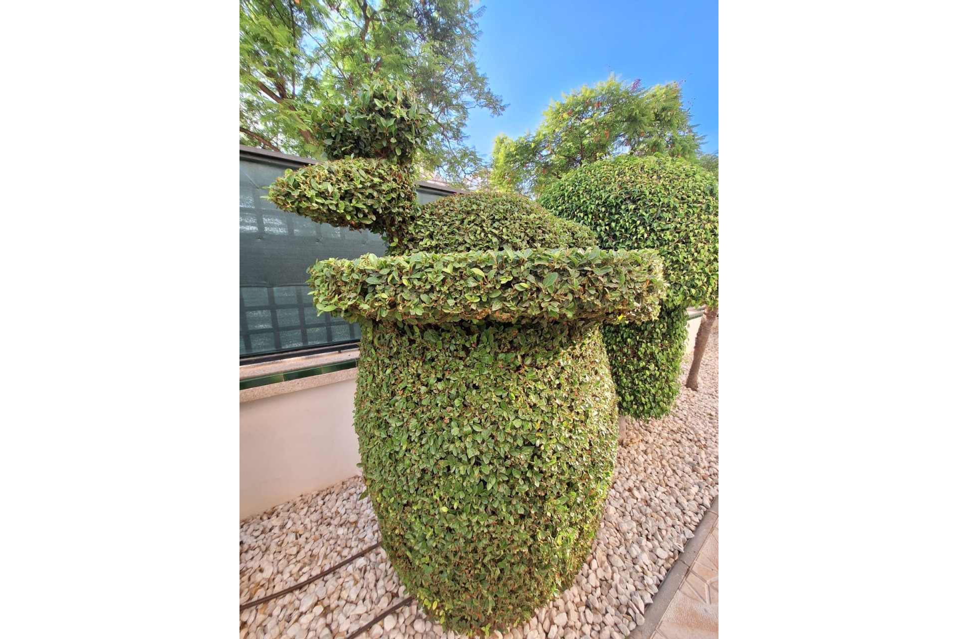 Location à long terme - Appartement - Alicante - Playa de San Juan