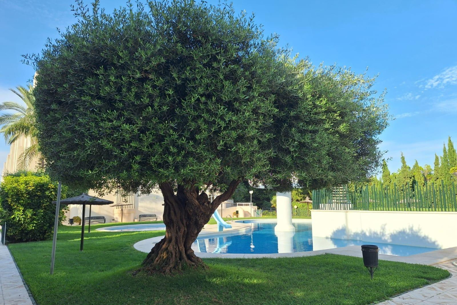 Location à long terme - Appartement - Alicante - Playa de San Juan