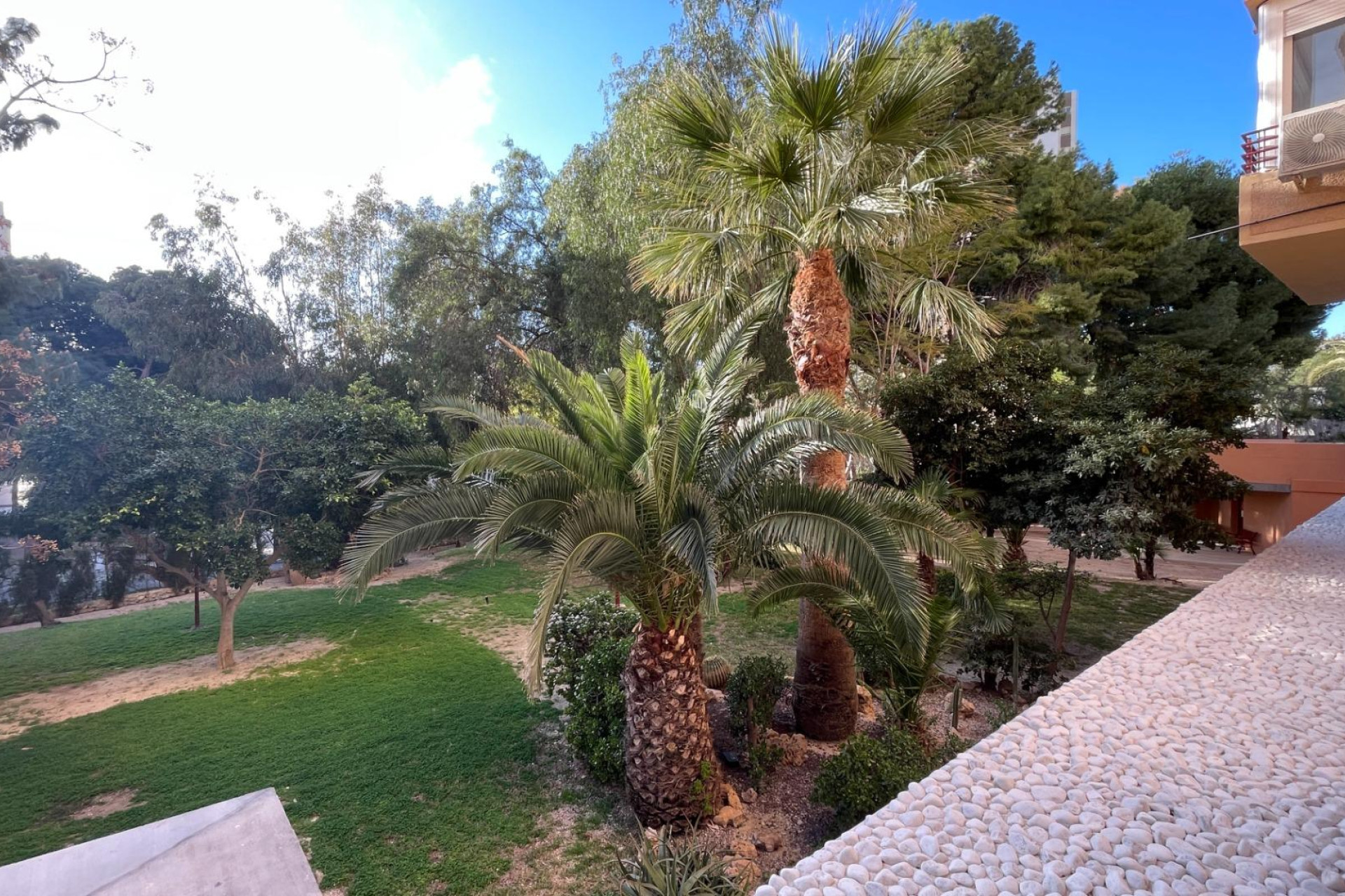 Location à long terme - Appartement - San Juan de Alicante - Cabo de las huertas