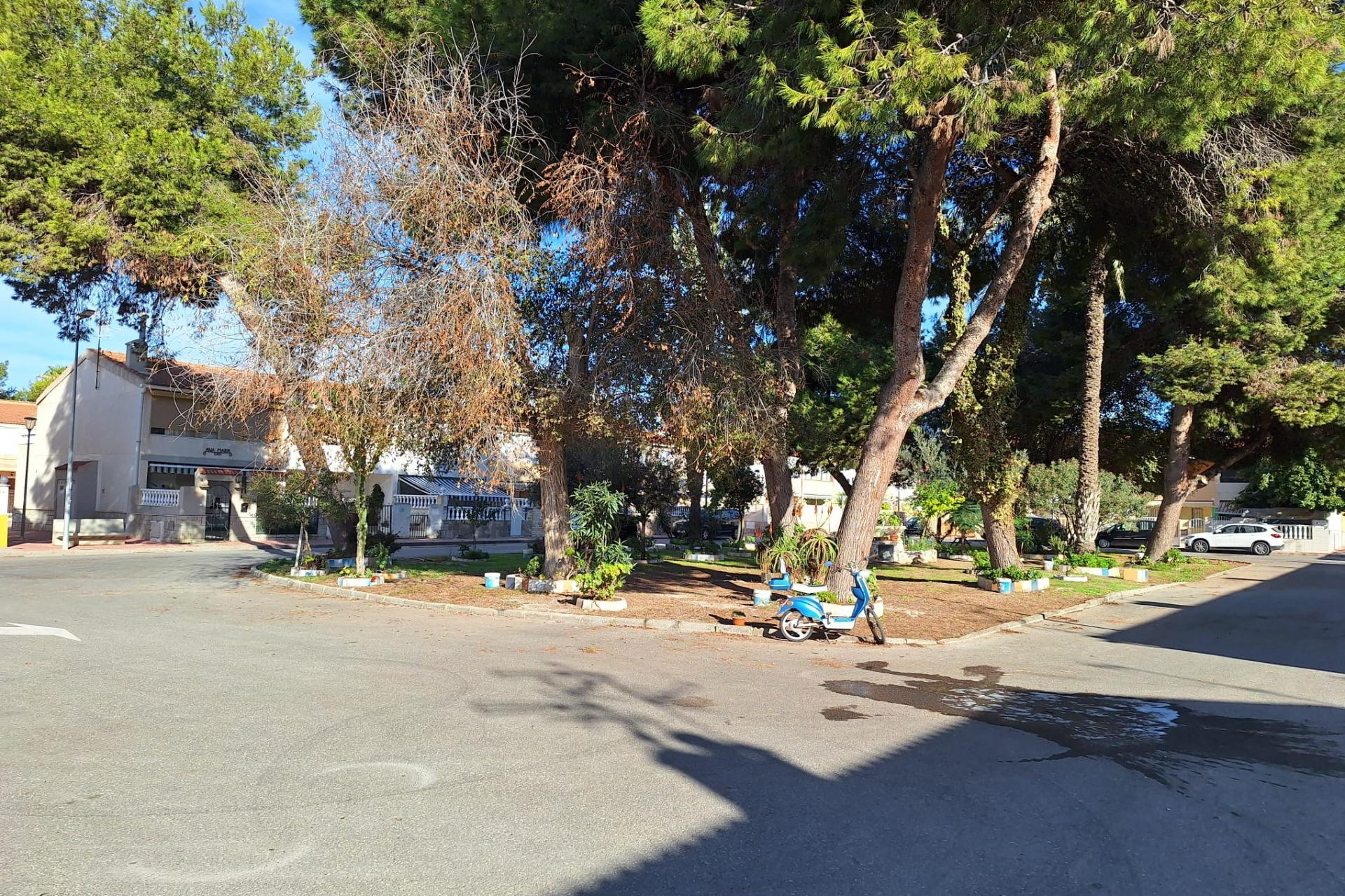 Location à long terme - Bungalow - Torrevieja - Playa de los Naufragos