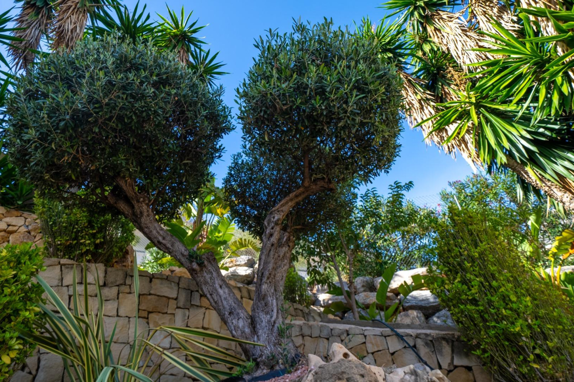 Location à long terme - Maison de ville - Altea - Altea La Vella