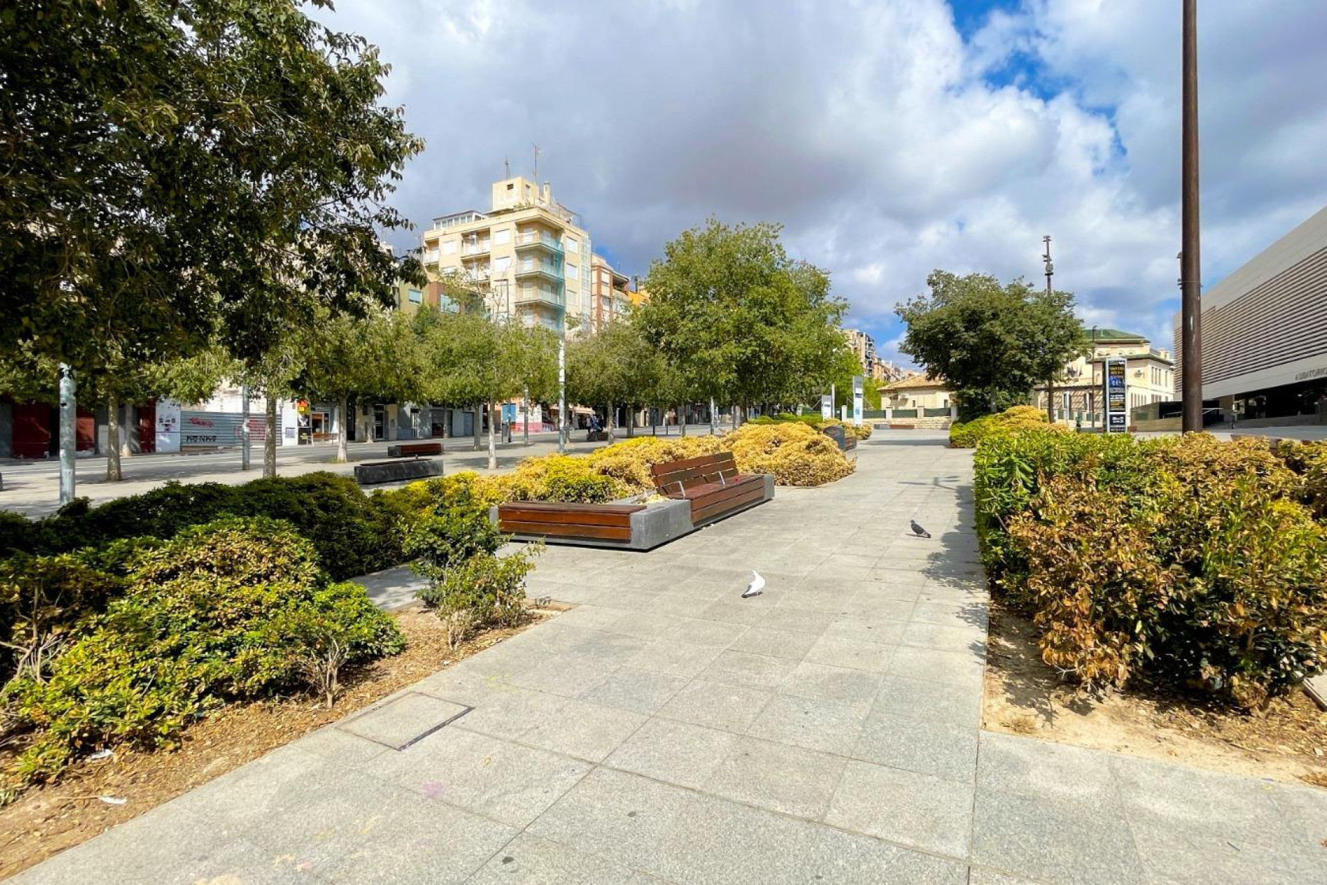 Long Term Rental - Apartment  - Alicante - Altozano