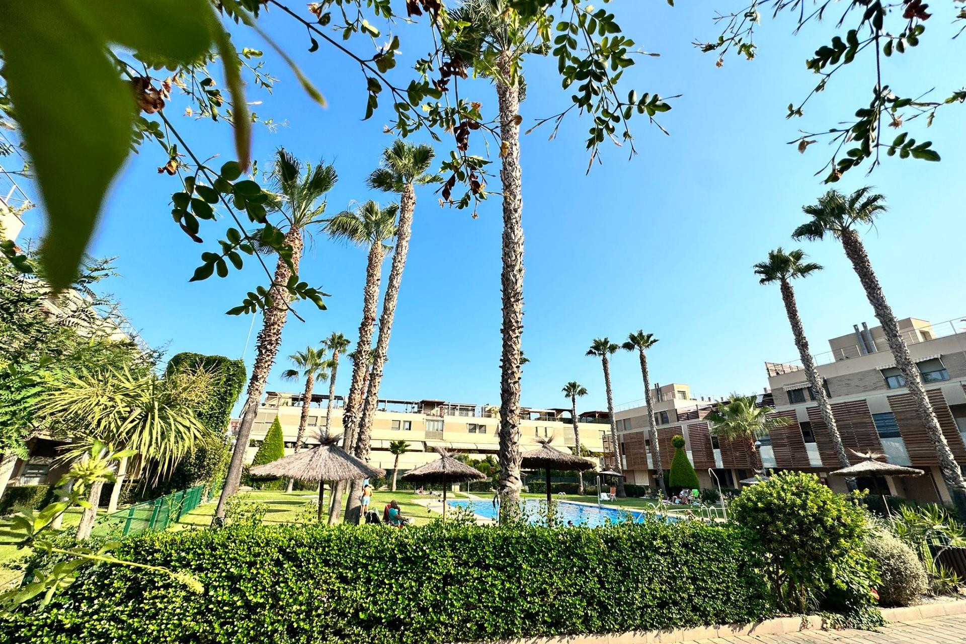 Long Term Rental - Apartment  - Alicante - Playa de San Juan