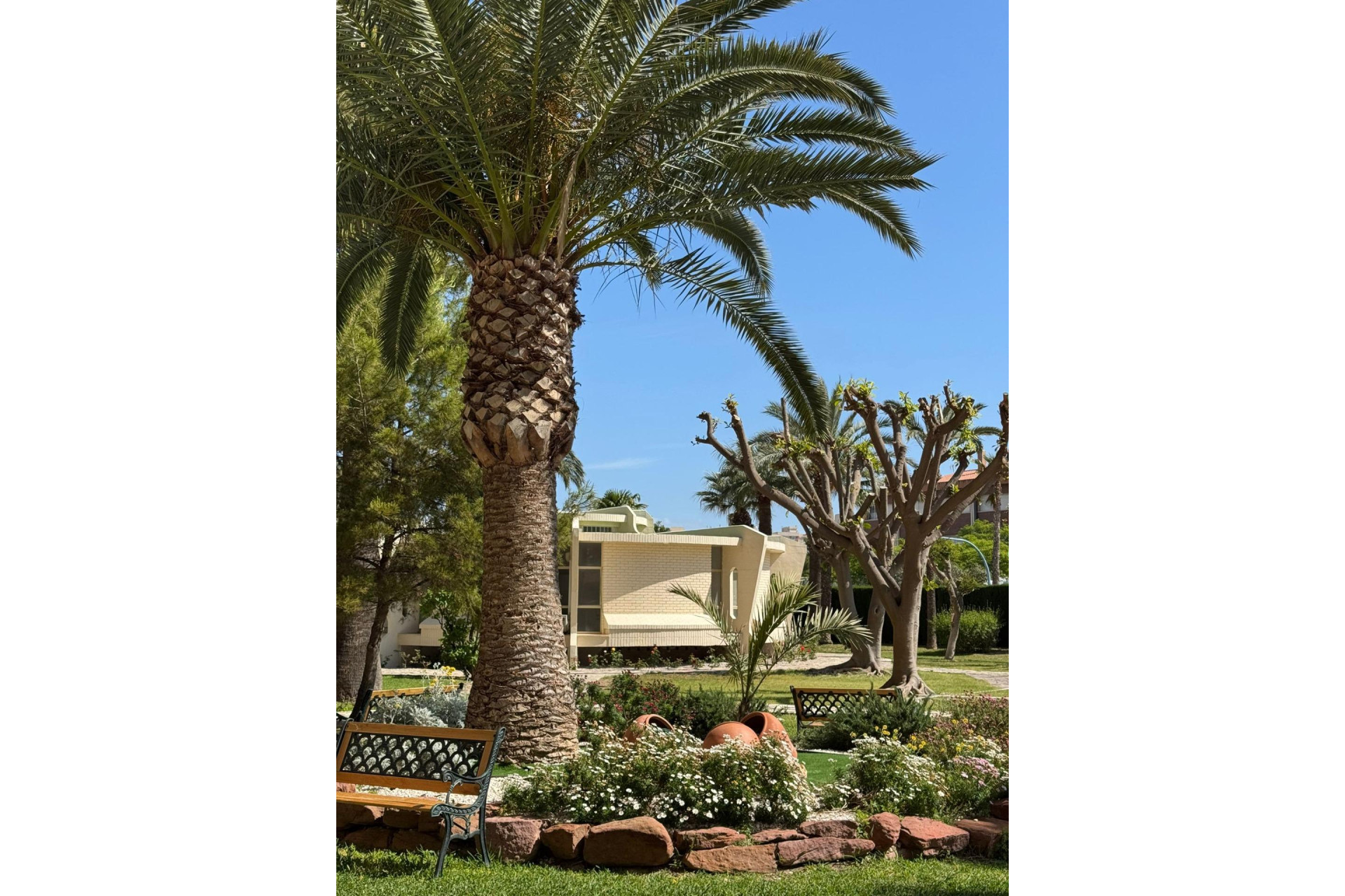 Long Term Rental - Apartment  - San Juan de Alicante - Avda costablanca