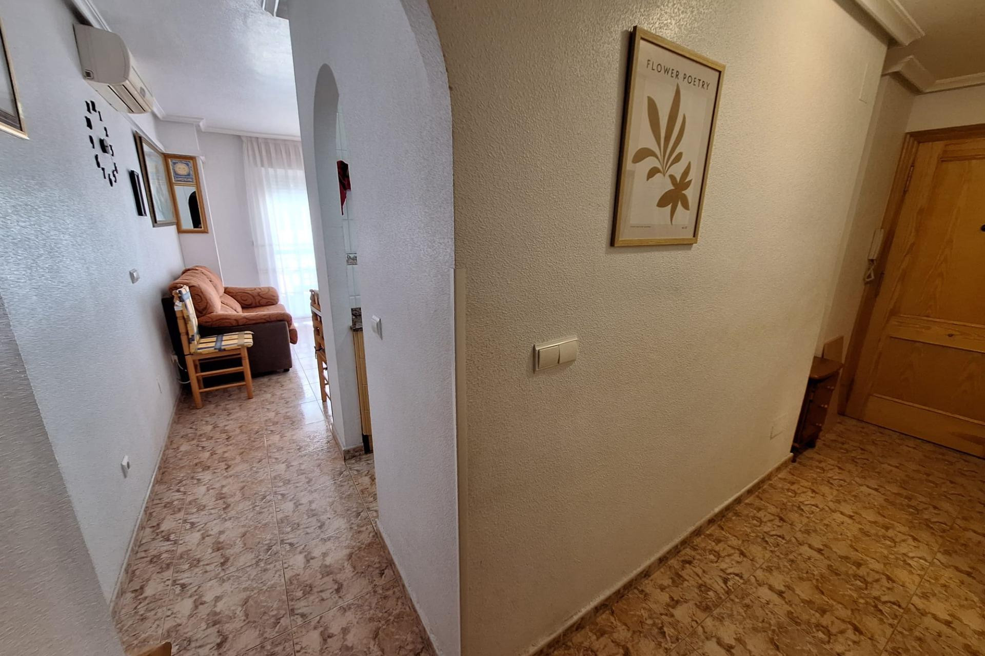 Long Term Rental - Apartment  - Torrevieja - Estacion de autobuses