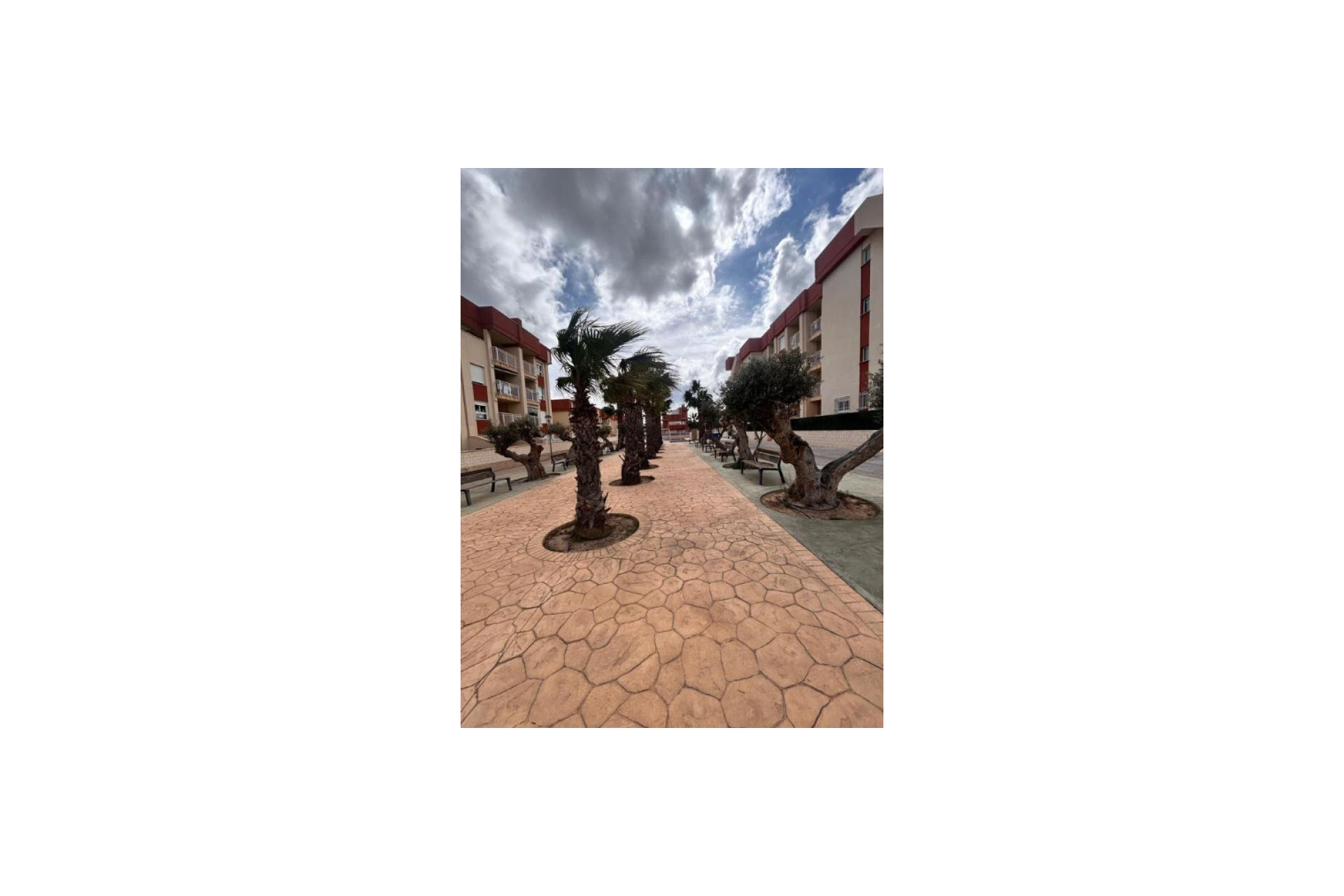 New Build - Apartamentos - Orihuela