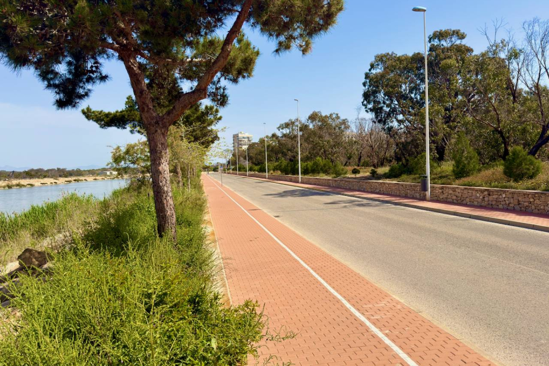 New Build - Apartment  - Guardamar del Segura - puerto deportivo